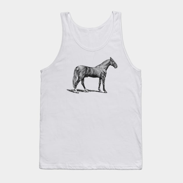 Horse Black and White Illustration Tank Top by Biophilia